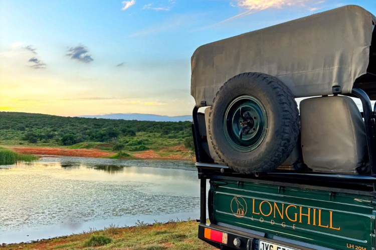 Longhill Reserve guide on game drive