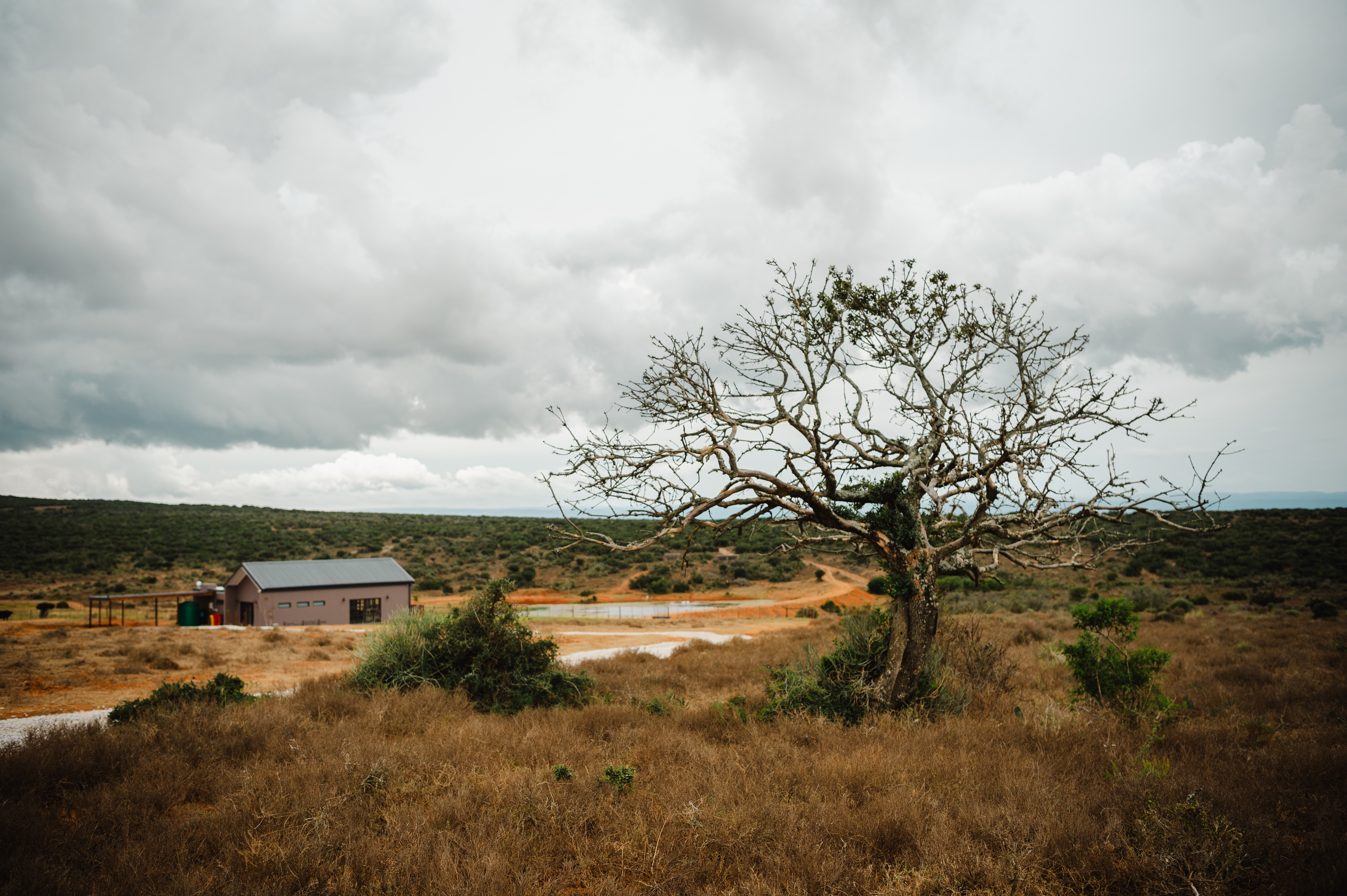 Longhill Reserve landscape and Bush Boma exterior