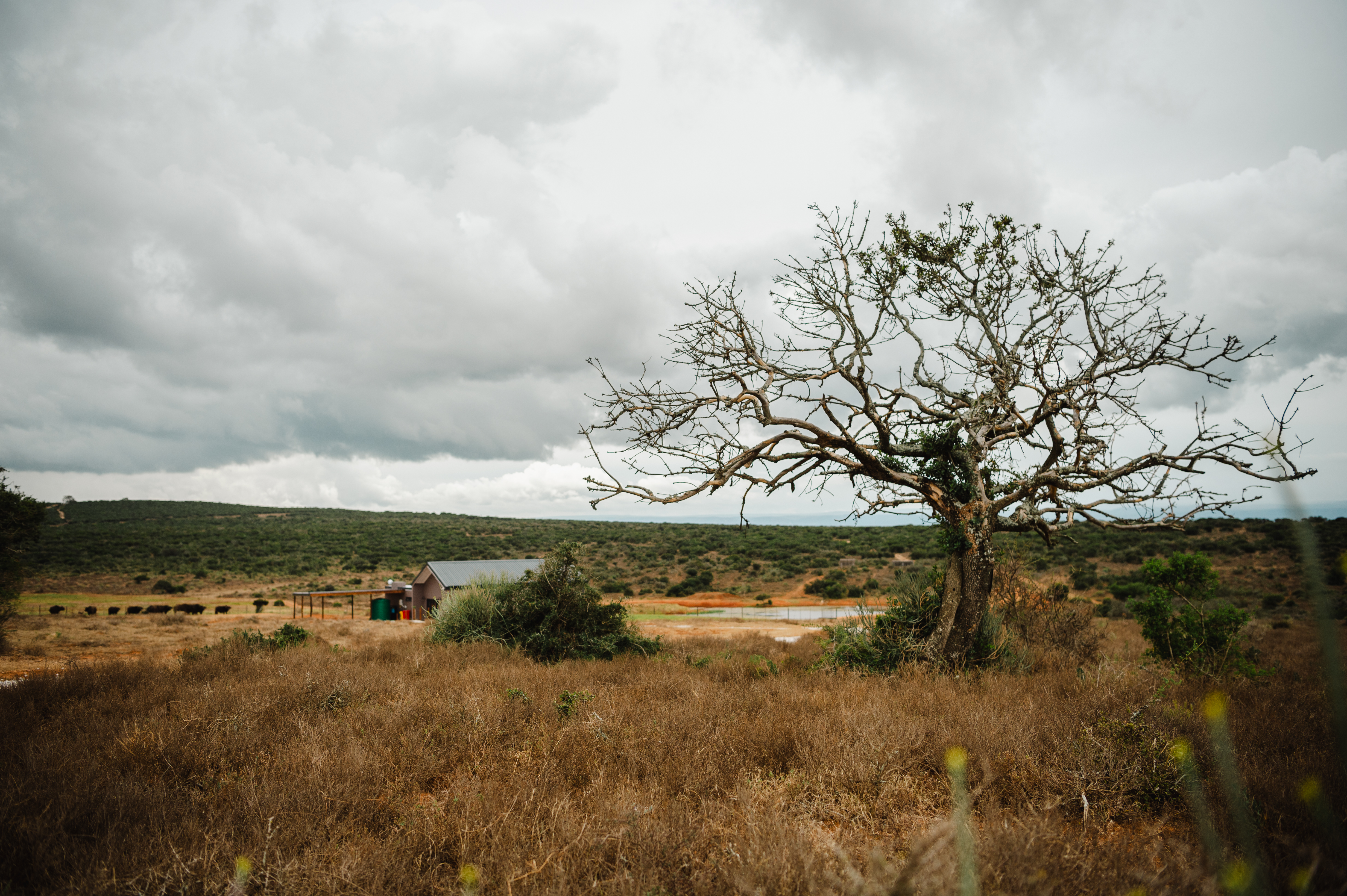 Longhill Reserve panoramic landscape