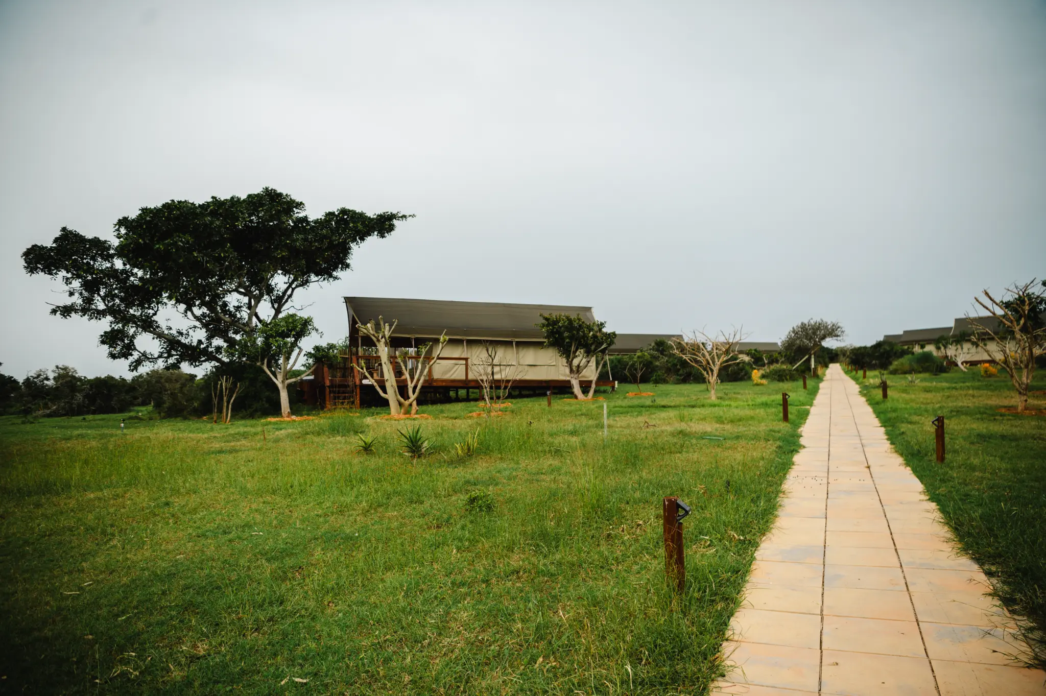 Luxury Tent pathway at Longhill Reserve