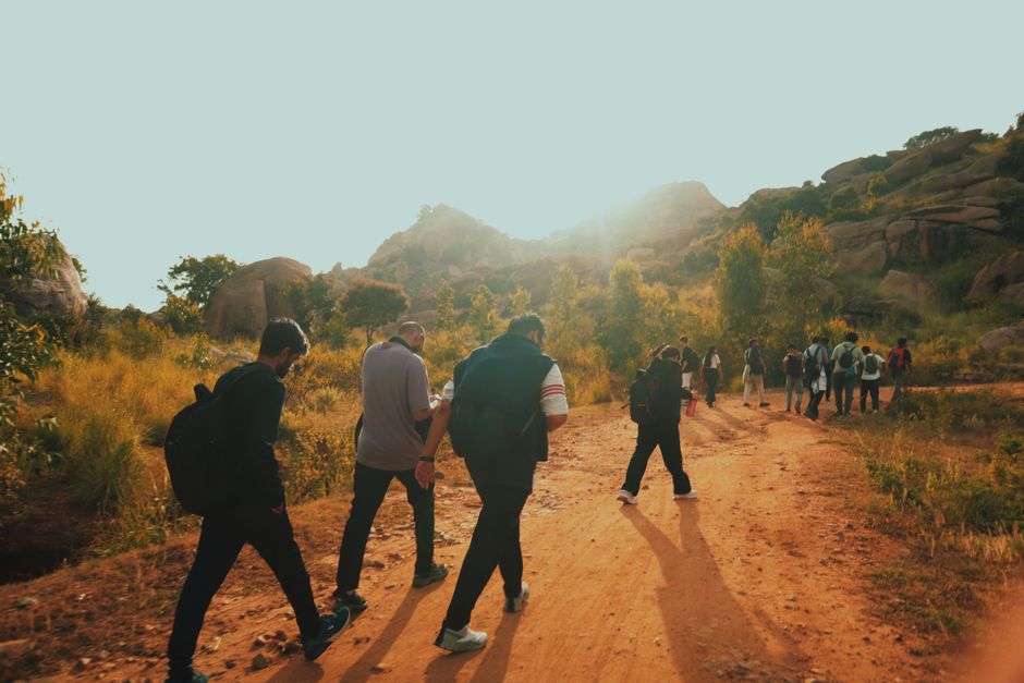 People walking on a guided bush trail